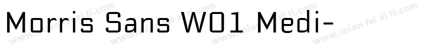 Morris Sans W01 Medi字体转换